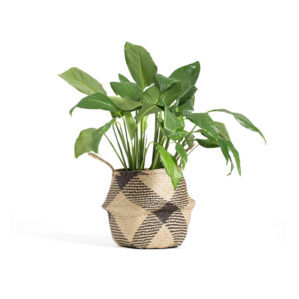 Sauder Miscellaneous Storage 2-Shelf Bookcase