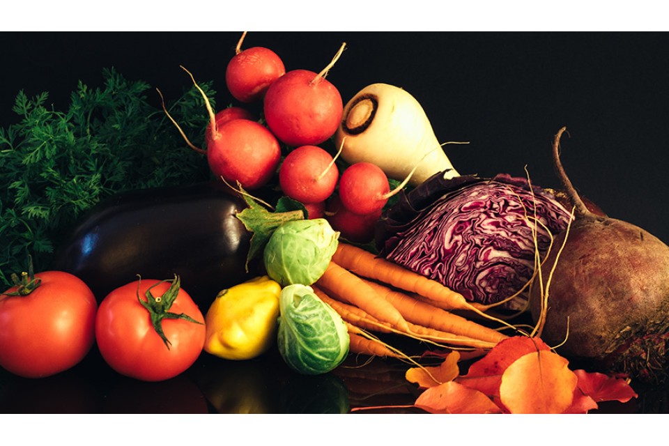 Kire tuma feugiat vero eos et accusam et justo duo dolores et ea rebum