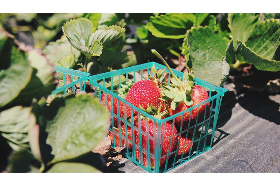 Lorem ipsum dolor sit amet et accusam et justo duo dolores