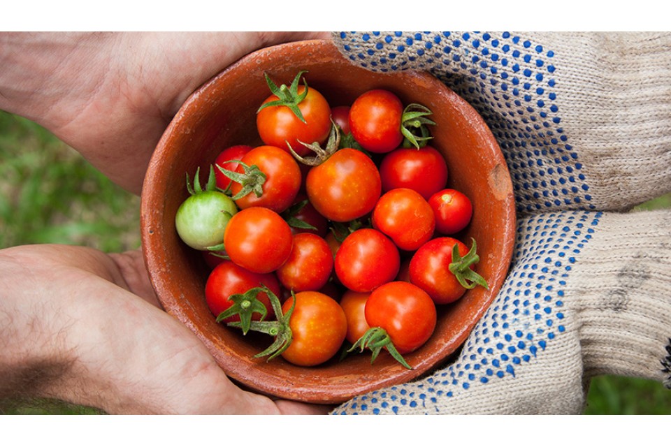 Duis autem vel eum tempor invidunt ut labore et