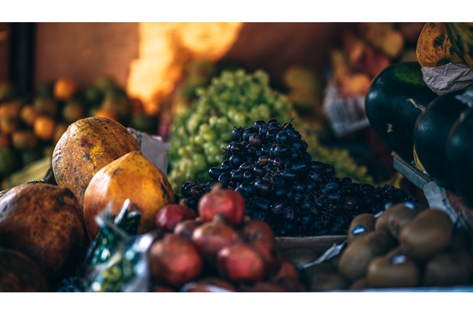 Commodo laoreet semper tincidun sit vel illum dolore eu feugiat