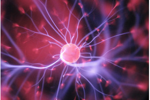 Vero eros et accumsan et iusto