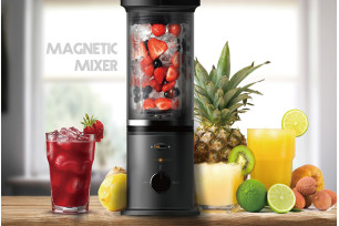 Sed diam nonum nibh euismod