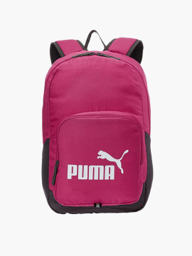 Prosciutto pork chop