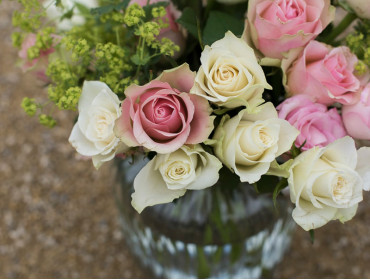 Blandit praesent luptatum zzril delenit