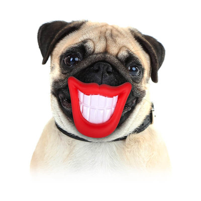 Natures Deli Adult Grain Free Duck